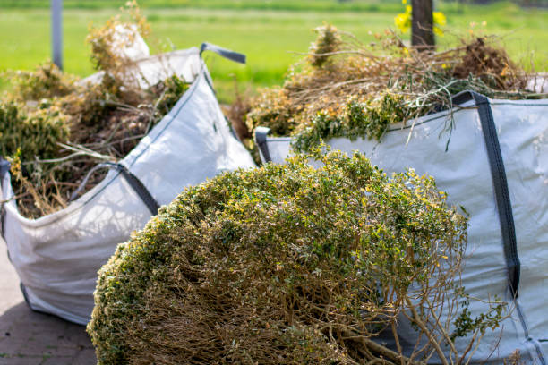 Trash Removal Near Me in Rollingwood, CA